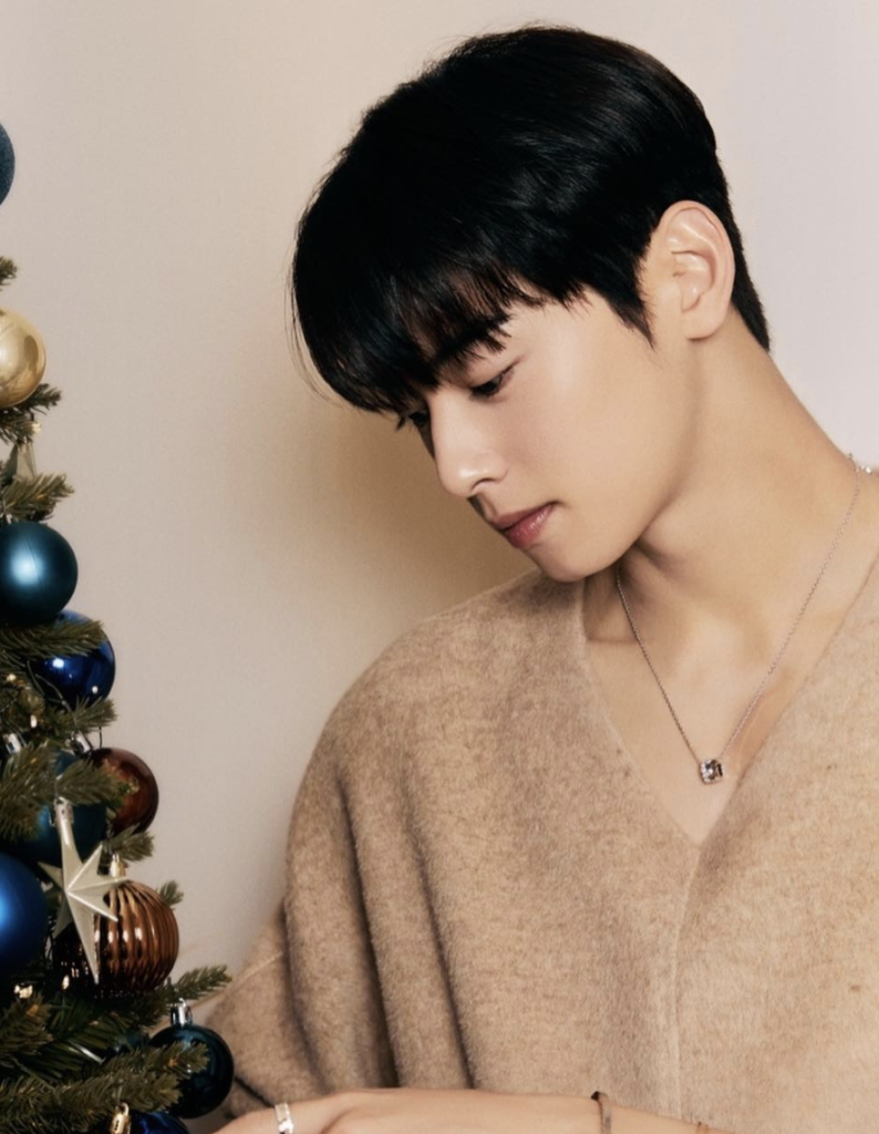 ทรงจมูกชาอึนอู