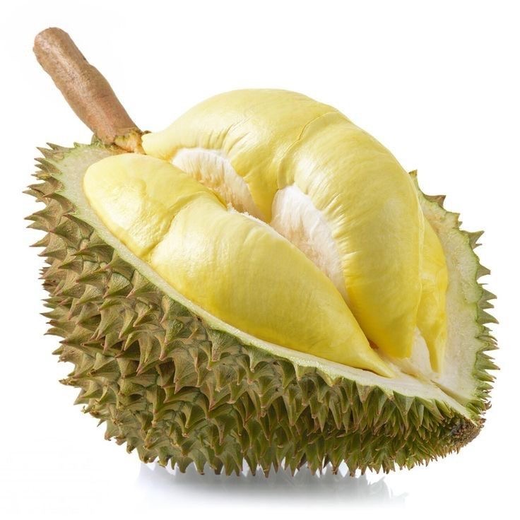 ทุเรียน