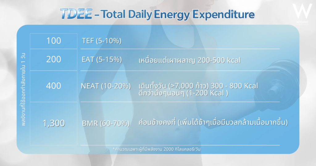 TDEE คืออะไร? สอนวิธีคำนวณและปรับการกินเพื่อลดน้ำหนักอย่างยั่งยืน